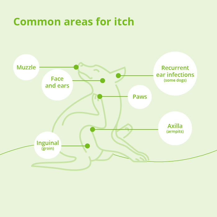 Atopivet Skin Care Collar with Sphingolipid for Dogs & Cats