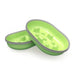 SureFeed Slow Feed Bowl, 2pk Color Green