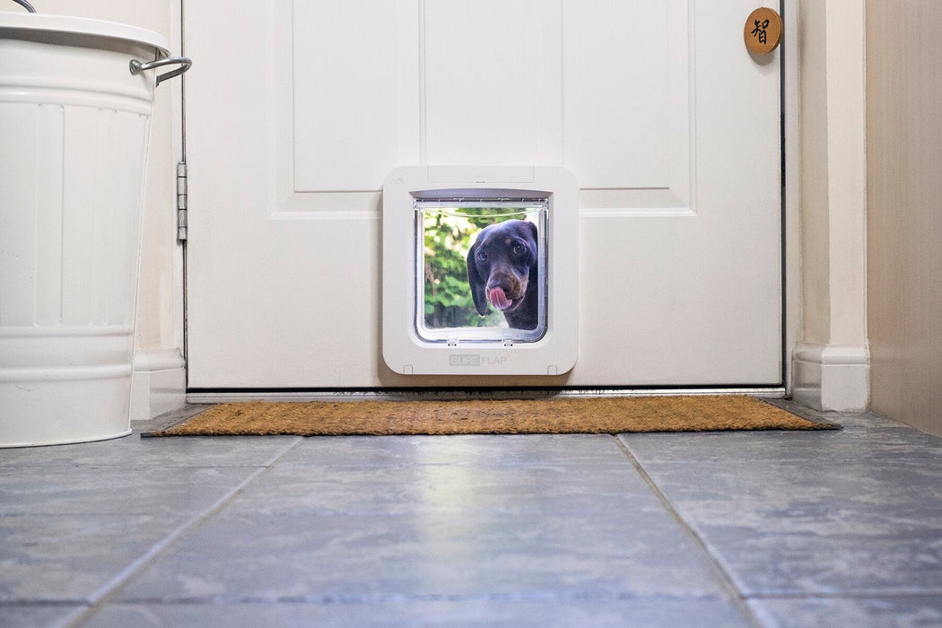 SureFlap Microchip Pet Door Connect Color White