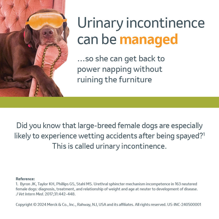 Rx Incurin (estriol) 1 mg Tablets for Dogs