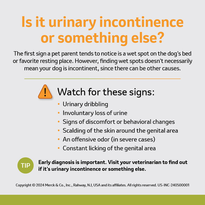 Rx Incurin (estriol) 1 mg Tablets for Dogs