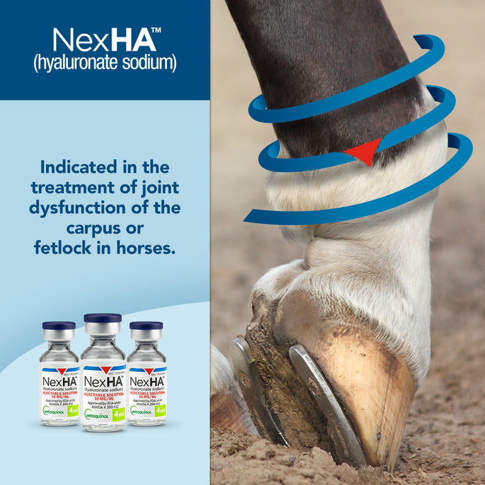 Rx NexHA Hyaluronate Sodium (Generic) Injectable Joint Treatment Solution for Horses