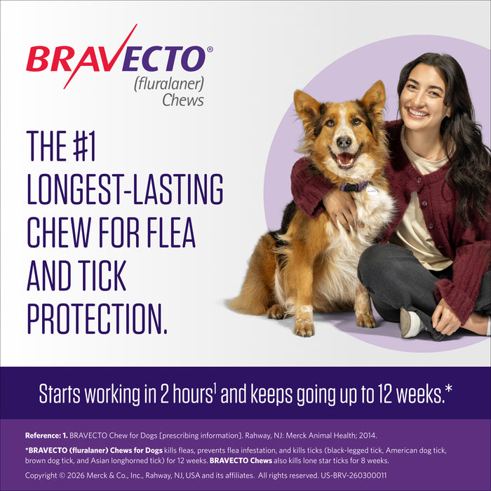 Rx Bravecto Chews for Dogs (Fluralaner) - 12 Week Flea & Tick Prevention, 1 Chew