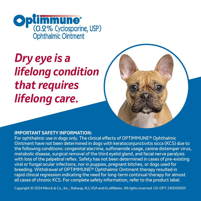 Rx Optimmune (cyclosporine) Opthalmic Ointment for Dogs, 3.5gm Tube