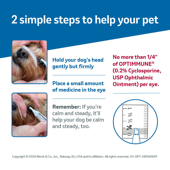 Rx Optimmune (cyclosporine) Opthalmic Ointment for Dogs, 3.5gm Tube