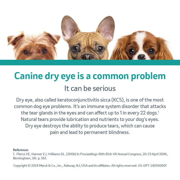 Rx Optimmune (cyclosporine) Opthalmic Ointment for Dogs, 3.5gm Tube