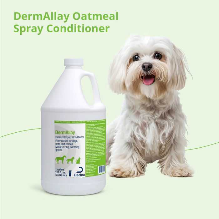 DermAllay Oatmeal Spray Conditioner – Anti-Itch, Leave-On Skin Relief for Dogs, Cats & Horses