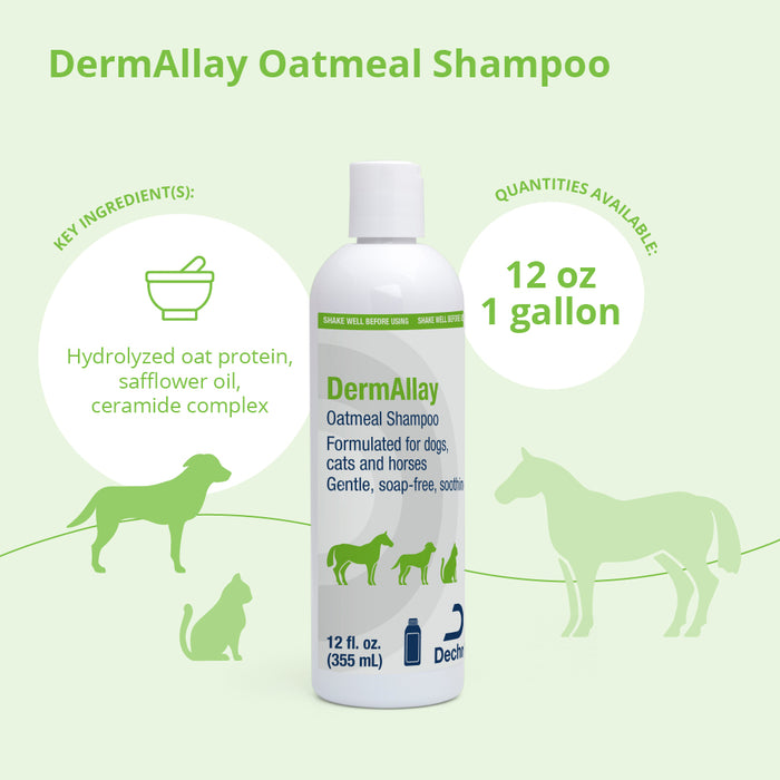 DermAllay Oatmeal Shampoo for Dogs, Cats & Horses