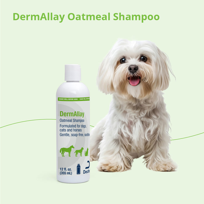 DermAllay Oatmeal Shampoo for Dogs, Cats & Horses