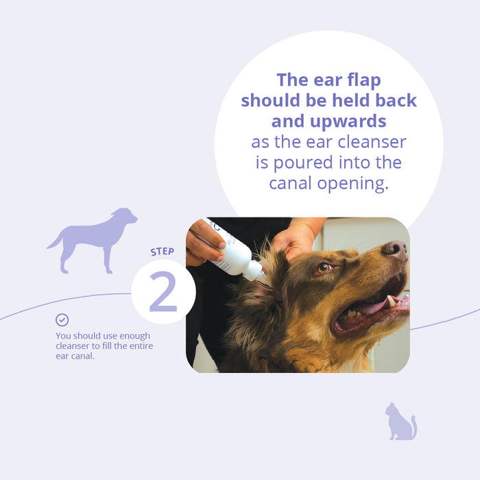 TrizULTRA+KETO Flush