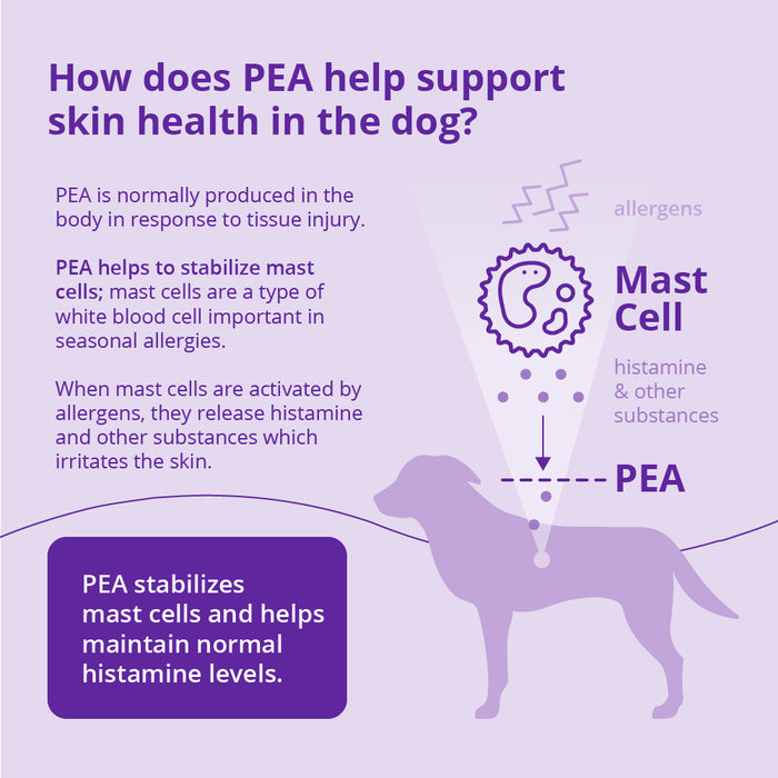 Redonyl Ultra Soft Chews for Dogs, 120 ct