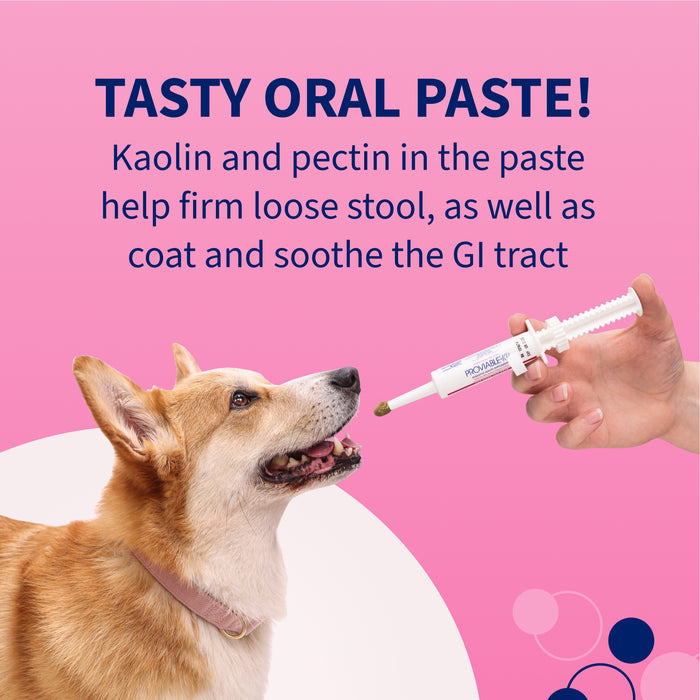 Nutramax Proviable-KP/DC Kit for Dogs and Cats, 10 Capsules