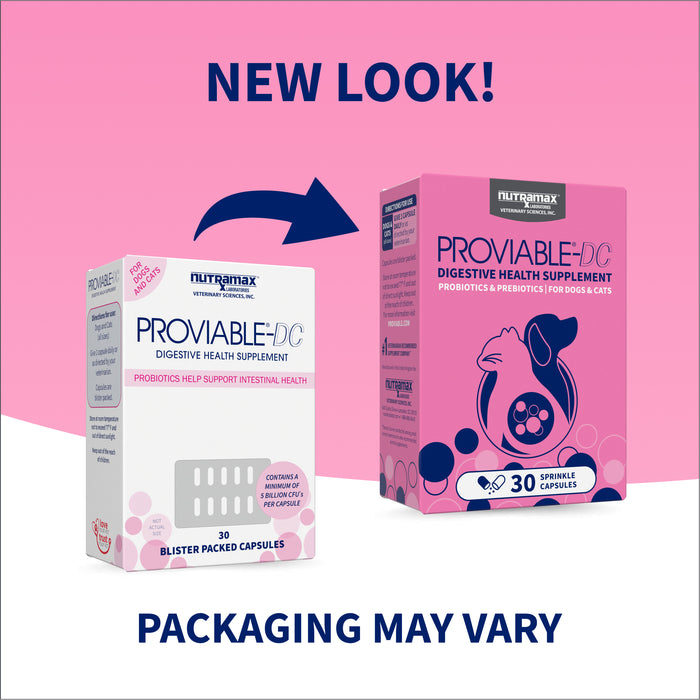 Nutramax Proviable-DC Capsules for Dogs & Cats