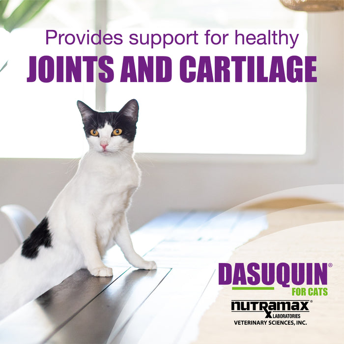 Nutramax Dasuquin Joint Health Supplement for Cats, Soft Chews