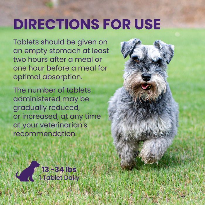 Nutramax Denamarin Liver Health Tablets for Dogs and Cats