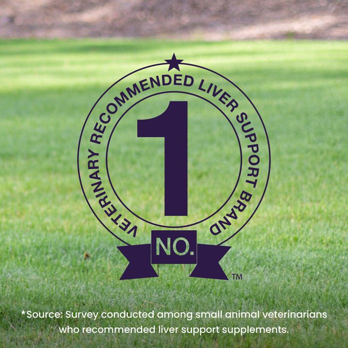 Nutramax Denamarin Liver Health Tablets for Dogs and Cats