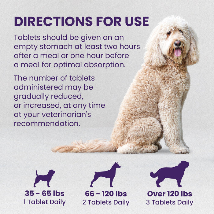 Nutramax Denamarin Liver Health Tablets for Dogs and Cats