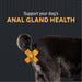 Nutramax Filaquin Anal Gland Supplement for Dogs, From the Makers of Proviable, with a Fiber Blend, Prebiotics, and Postbiotics for Digestive Health Support, 90 Count Soft Chews Size 90