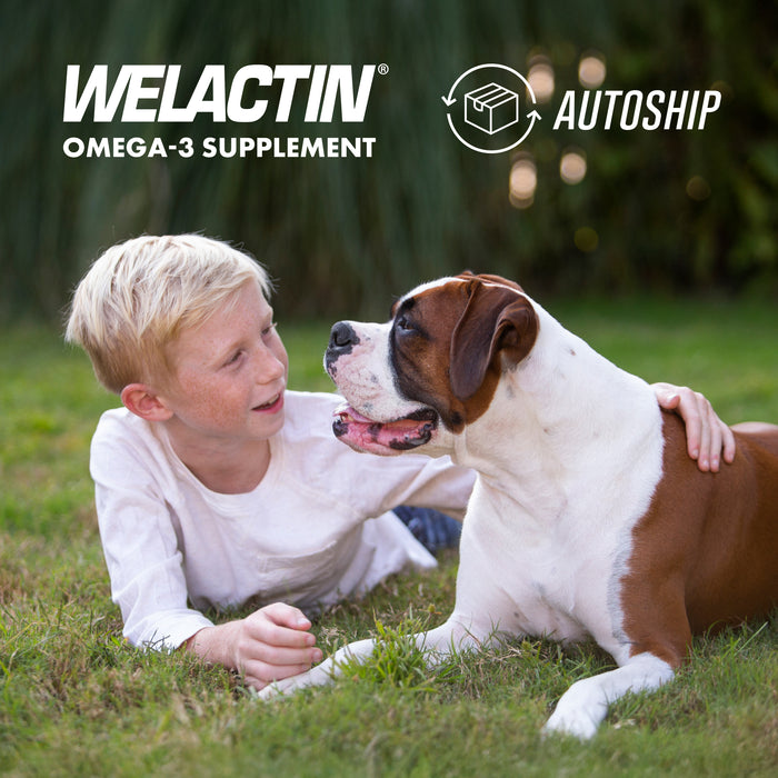 Nutramax Welactin Daily Omega-3 Supplement For Dogs, 60 Soft Chews