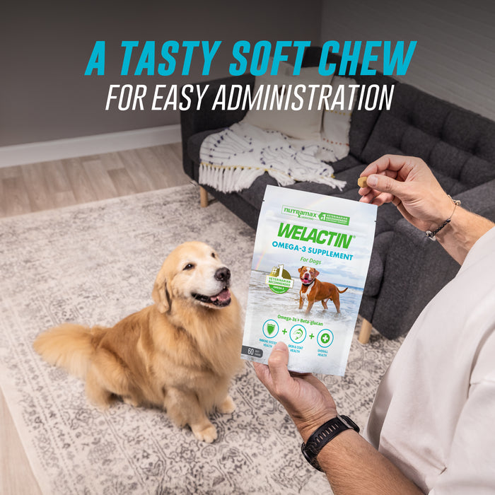 Nutramax Welactin Daily Omega-3 Supplement For Dogs, 60 Soft Chews