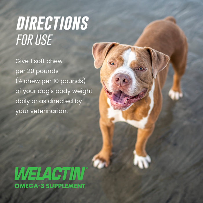 Nutramax Welactin Daily Omega-3 Supplement For Dogs, 60 Soft Chews