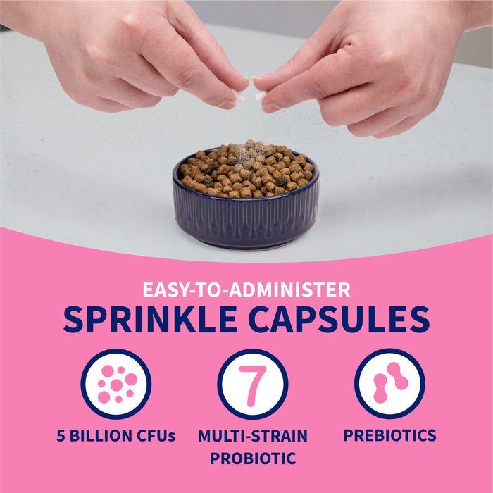 Nutramax Proviable-KP/DC Kit for Dogs and Cats, 10 Capsules