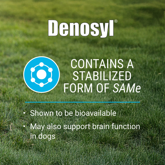 Nutramax Denosyl Liver and Brain Health Supplement