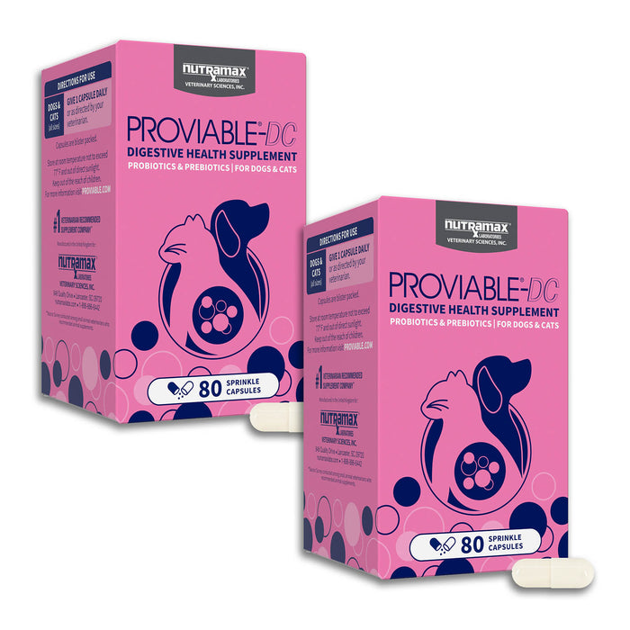 Nutramax Proviable-DC Capsules for Dogs & Cats