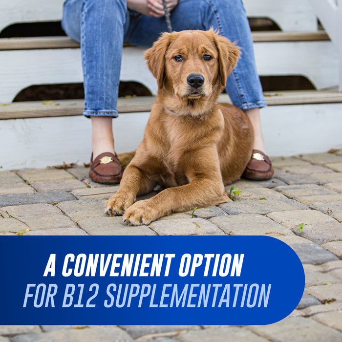 Nutramax Cobalequin B12 Supplement for Cats & Dogs