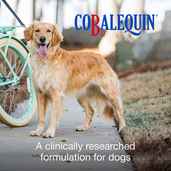 Nutramax Cobalequin B12 Supplement for Cats & Dogs