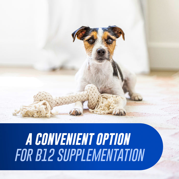 Nutramax Cobalequin B12 Supplement for Cats & Dogs