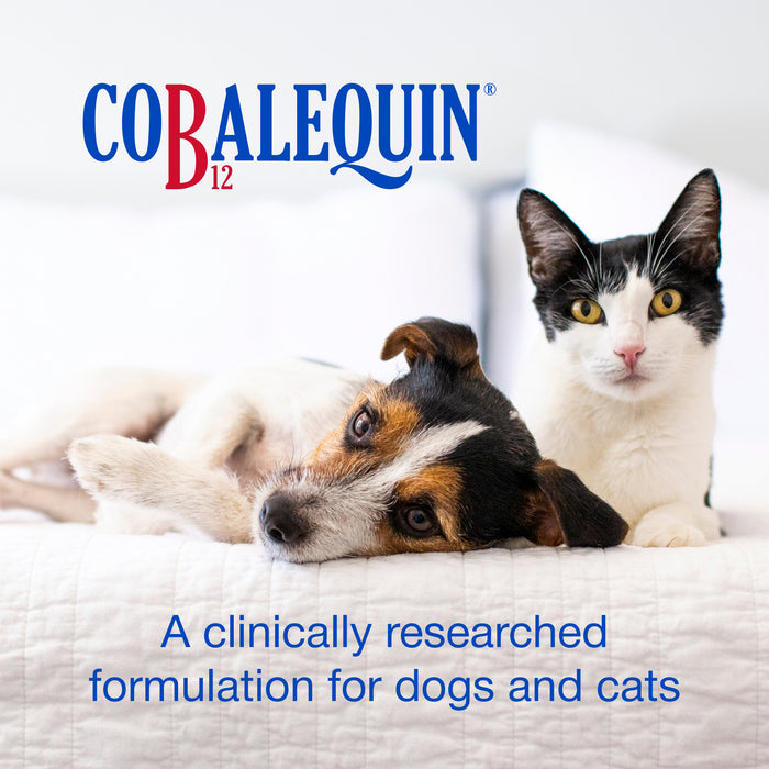 Nutramax Cobalequin B12 Supplement for Cats & Dogs