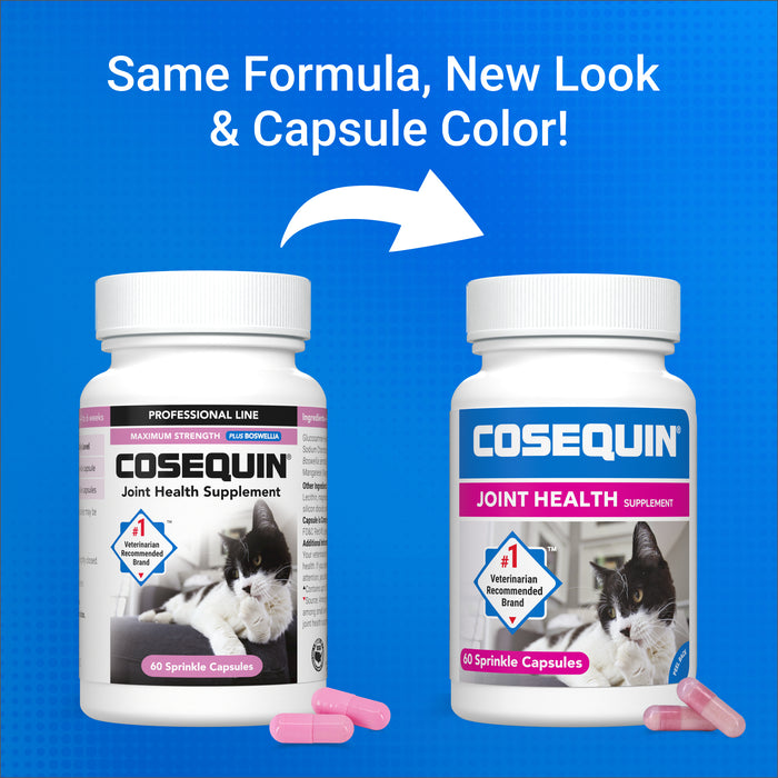 Nutramax Cosequin Professional for Cats, 60 Capsules