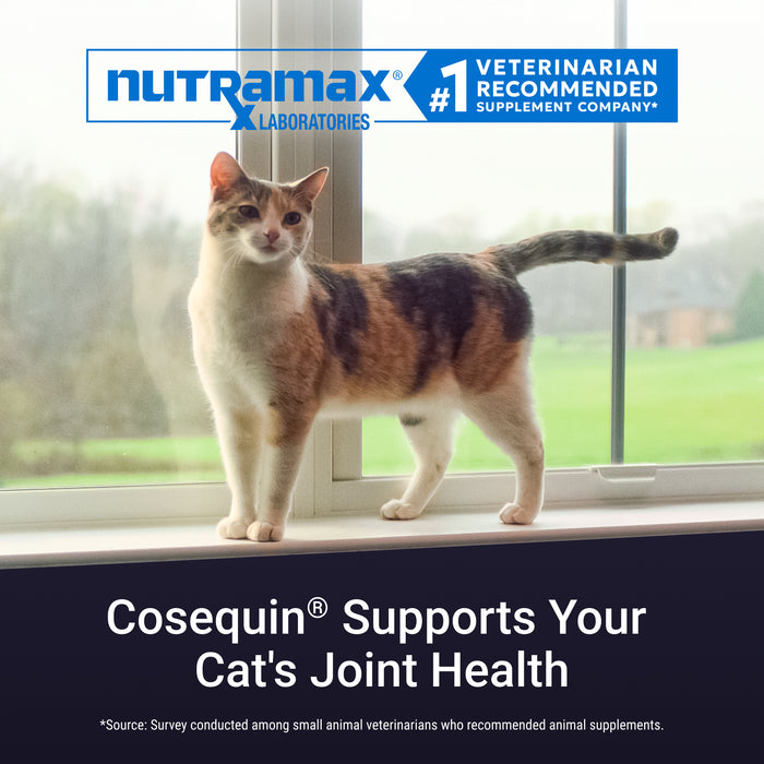 Nutramax Cosequin Professional for Cats, 60 Capsules
