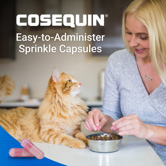Nutramax Cosequin Professional for Cats, 60 Capsules