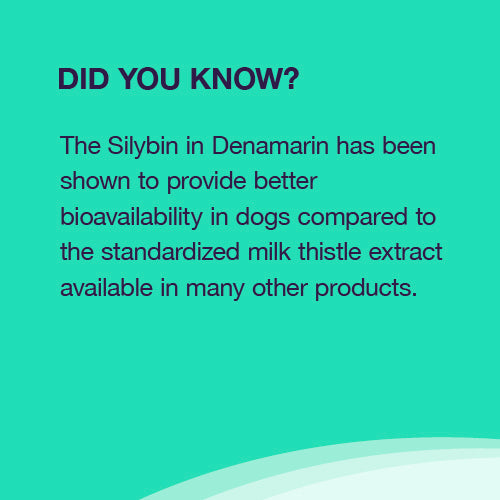 Nutramax Denamarin Liver Health, Chewable Tablets