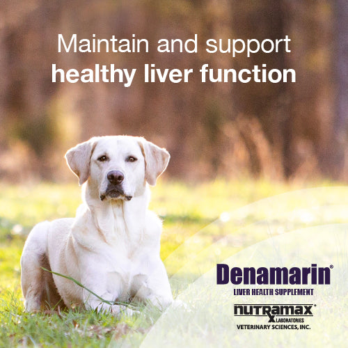 Nutramax Denamarin Liver Health, Chewable Tablets