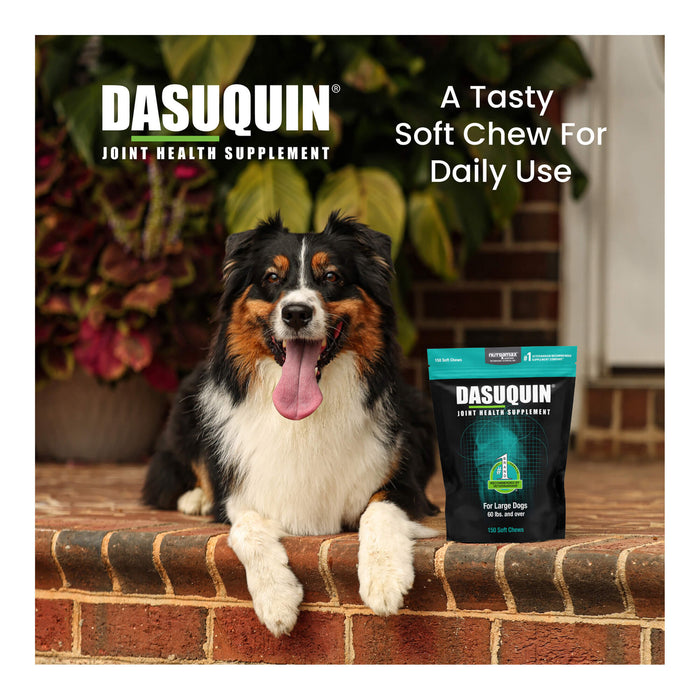 Nutramax Dasuquin for Dogs, Joint Health Supplement, Glucosamine, Chondroitin, ASU and More, Soft Chews