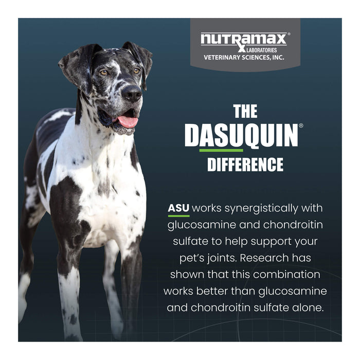 Nutramax Dasuquin for Dogs, Joint Health Supplement, Glucosamine, Chondroitin, ASU and More, Soft Chews