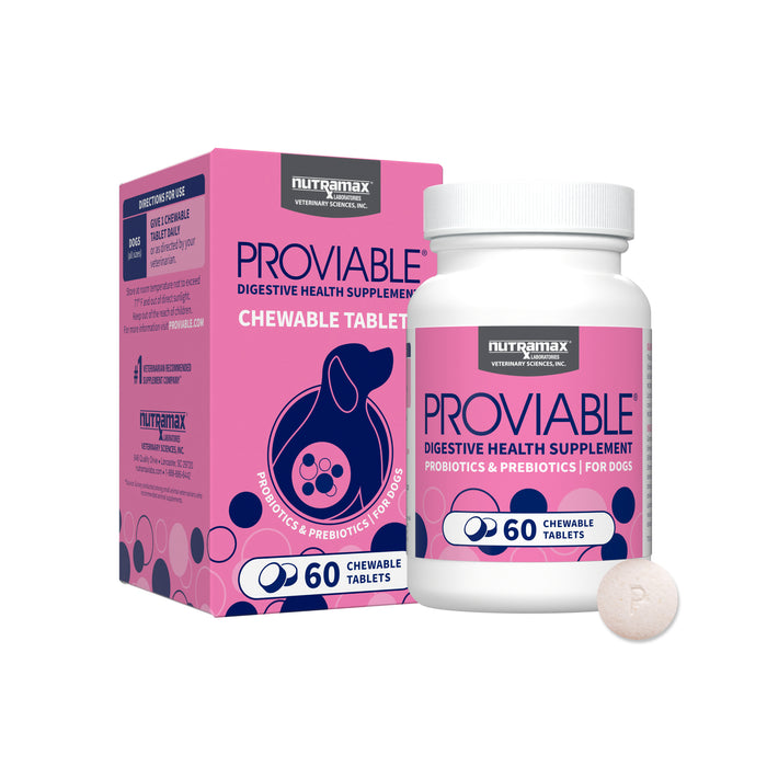 Nutramax Proviable-DC Chew Tablets for Dogs, 60 ct