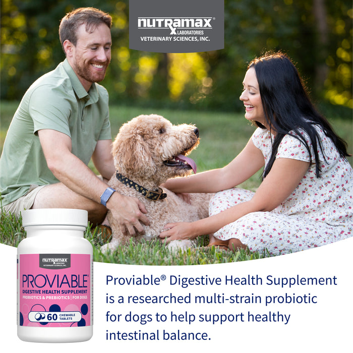 Nutramax Proviable-DC Chew Tablets for Dogs, 60 ct