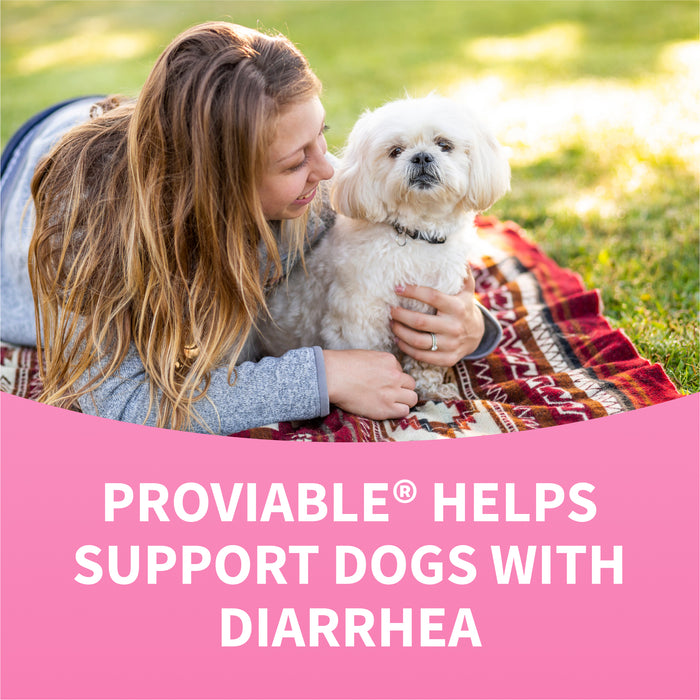 Nutramax Proviable-DC Chew Tablets for Dogs, 60 ct