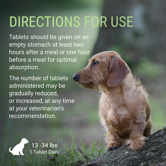 Nutramax Denosyl Liver and Brain Health Supplement