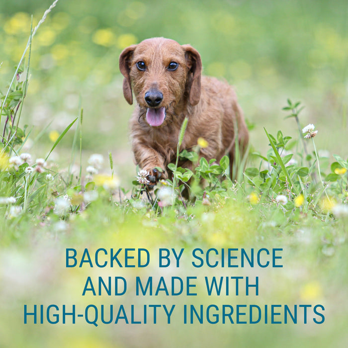 Nutramax Denosyl Liver and Brain Health Supplement