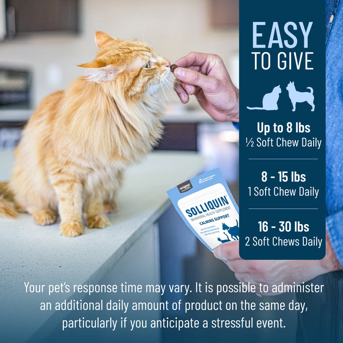 Nutramax Solliquin Soft Chews, 75 ct