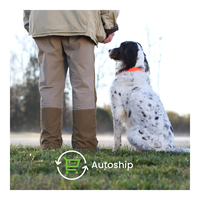 Nutramax Dasuquin Joint Supplement for Dogs (with Glucosamine, Plus Chondroitin, ASU, MSM & More)