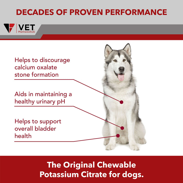 K-CIT-V Potassium Citrate for Dogs, 100 Chewable Tablets