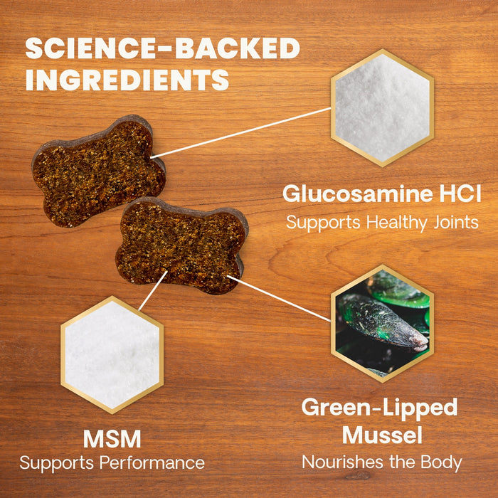 Glyco Flex 3 Joint Support for Dogs, 120 Bite Sized Chews