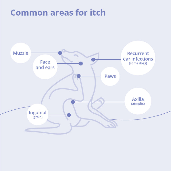 Miconahex+Triz Antimicrobial Spray Conditioner for Dogs, Cats, and Horses