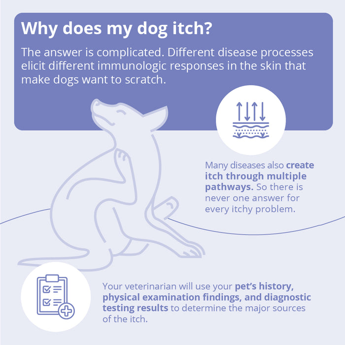 Miconahex+Triz Antimicrobial Spray Conditioner for Dogs, Cats, and Horses